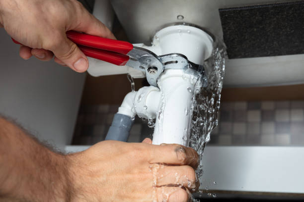 Best Flood damage cleanup  in Duncan Falls, OH