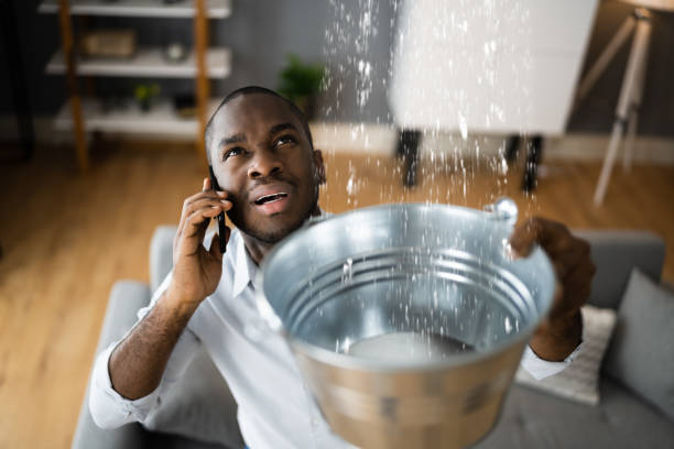 Best Mold removal after water damage  in Duncan Falls, OH