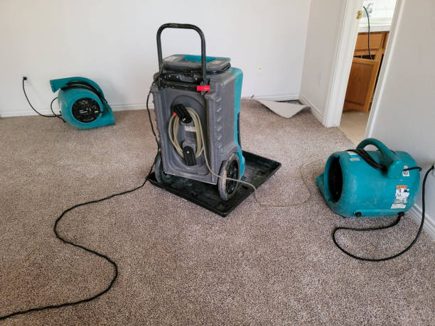 Best Residential water damage restoration  in Duncan Falls, OH