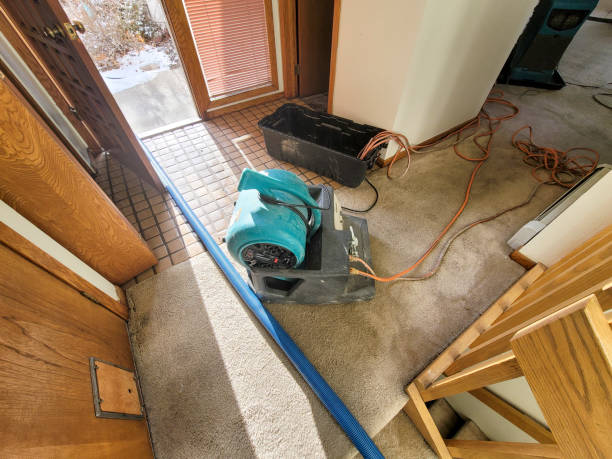 Best Water damage restoration near me  in Duncan Falls, OH