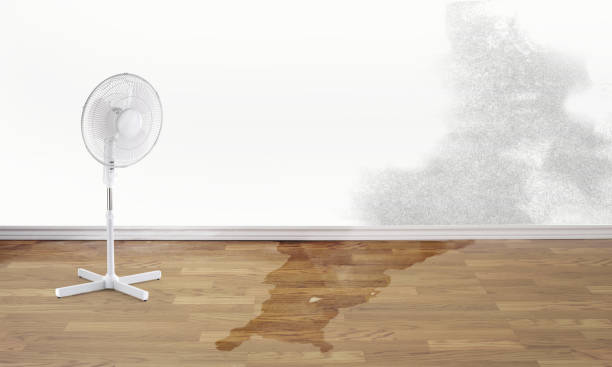  Duncan Falls, OH Water damage restoration Pros