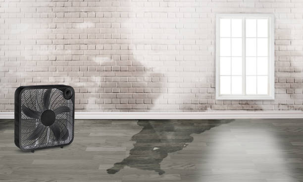 Professional Water damage restoration in Duncan Falls, OH