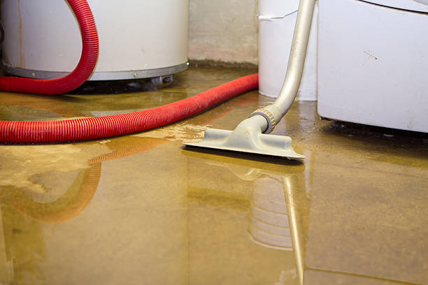 Best Local water damage restoration  in Duncan Falls, OH