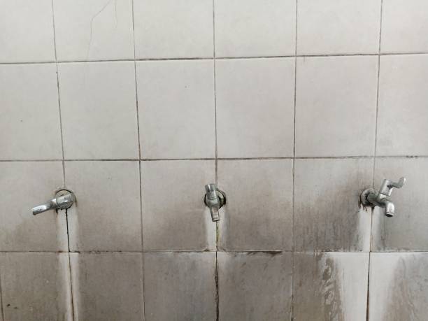 Best Water damage restoration near me  in Duncan Falls, OH