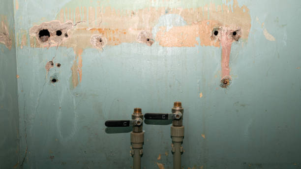 Best 24-hour water damage restoration  in Duncan Falls, OH
