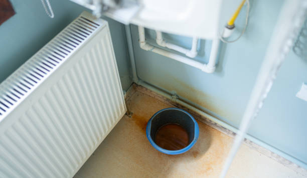 Best Mold removal after water damage  in Duncan Falls, OH