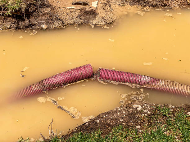 Water damage restoration experts in Duncan Falls, OH
