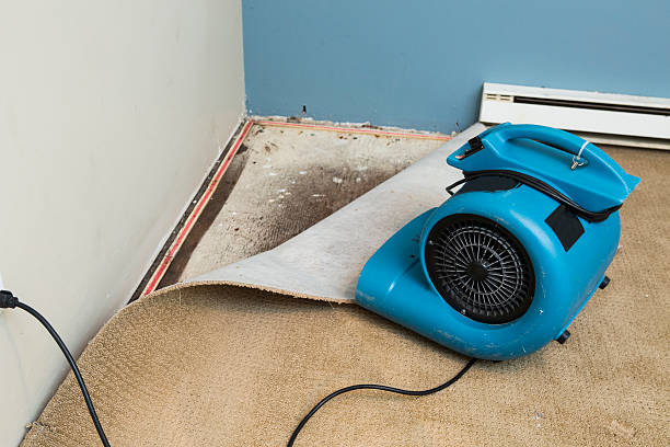 Best Sewage cleanup and water damage restoration  in Duncan Falls, OH